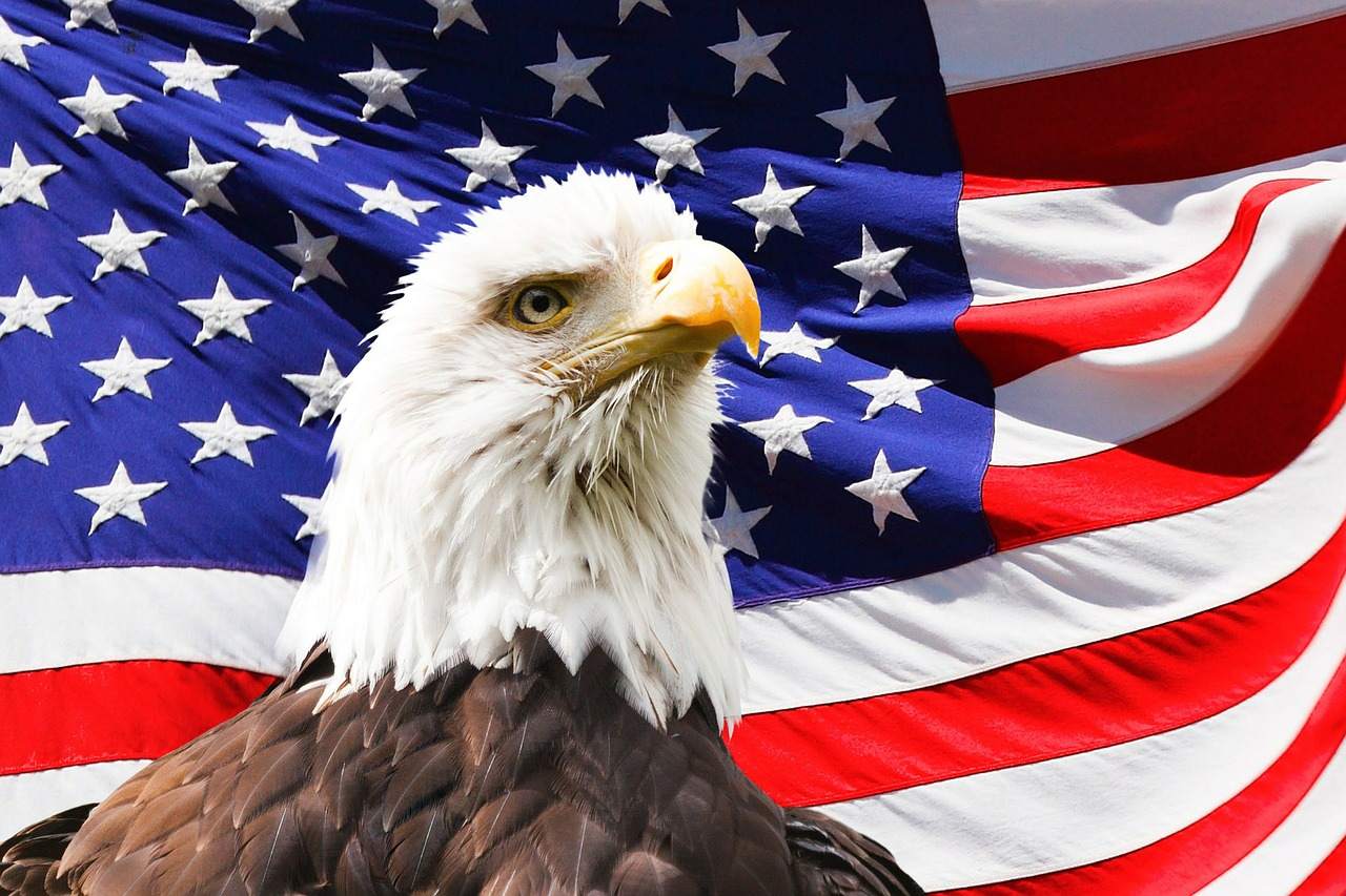 USA Flagge und Vogel - aktuell ISM Index