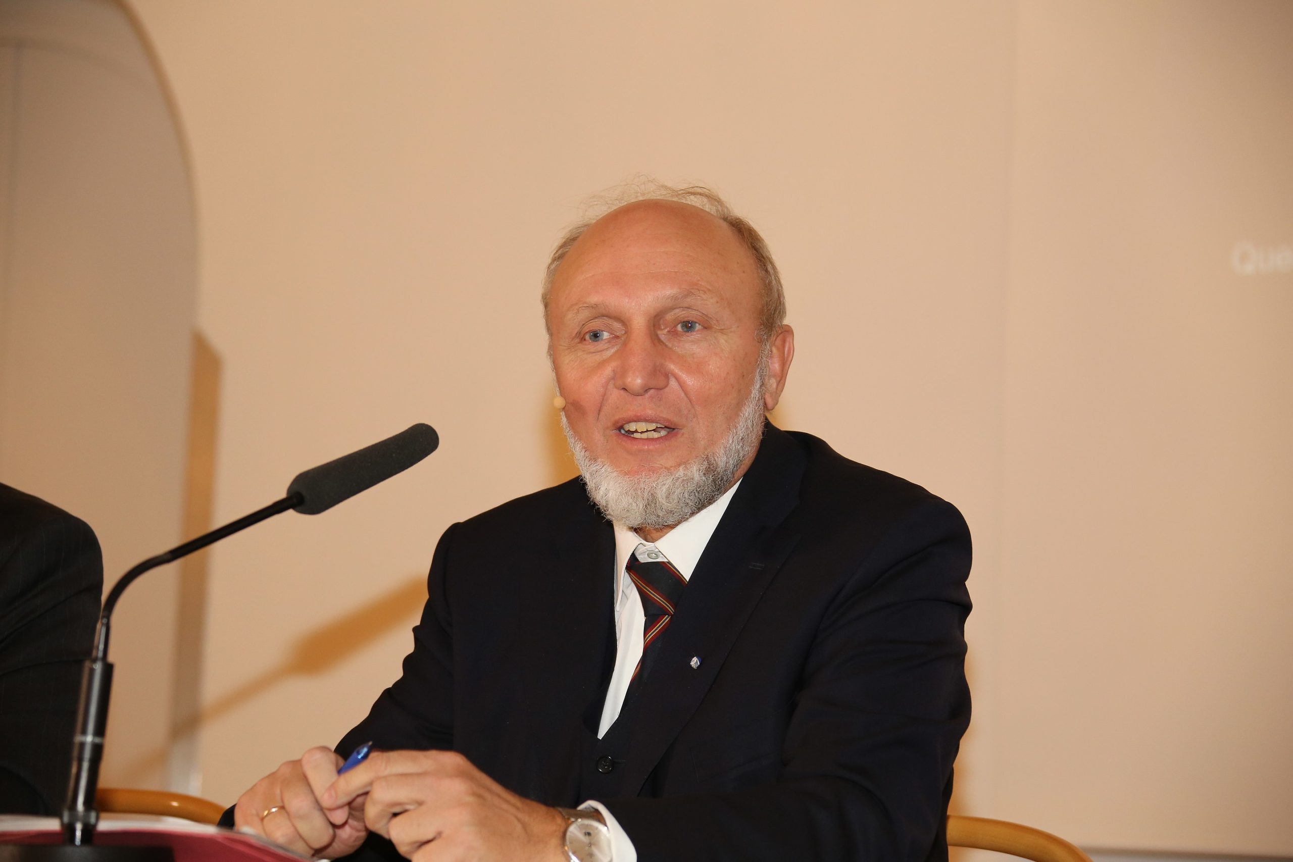 Hans-Werner Sinn im Jahr 2013