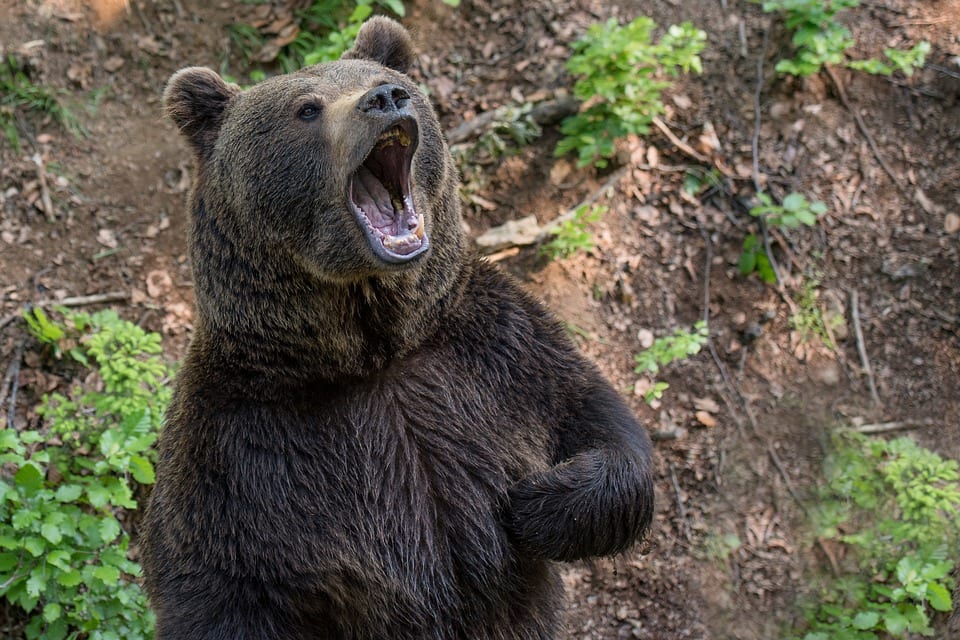 US-Indizes: Die Bären sind nach dem Zinsentscheid zurück