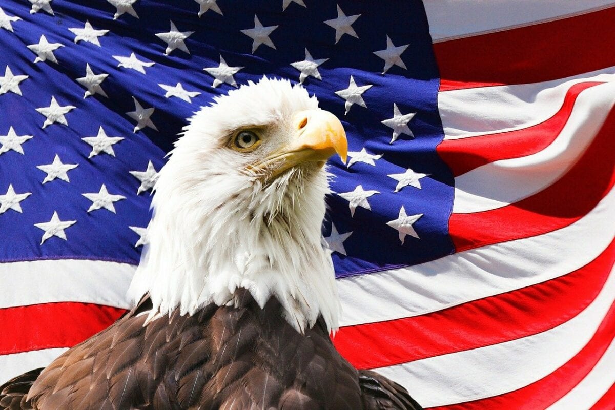 USA Flagge und Adler
