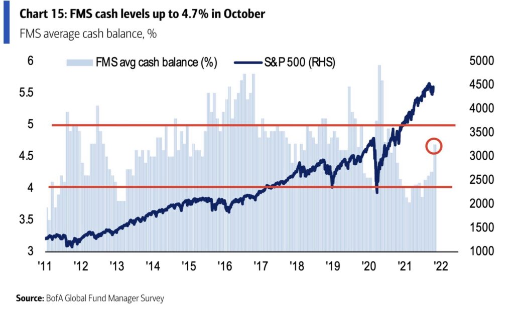 Aktienmärkte Cash-Quote