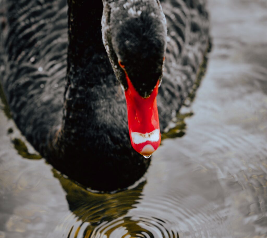 Nickel-Squeeze: Wie die Finanzwelt nur knapp einem Black Swan entkam (Nickelmarkt)