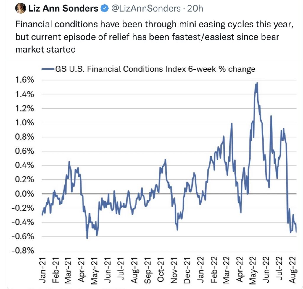 Liz Ann Sonders Financial Conditions - Inflation und Rezession