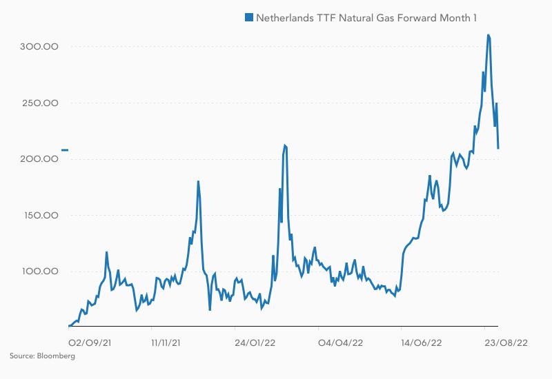 Verlauf im Dutch TTF Gaspreis in den letzten 12 Monaten