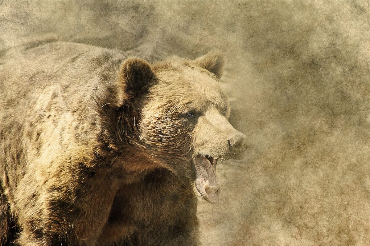 S&P 500 unter Druck - Die Bären übernehmen, wenn...