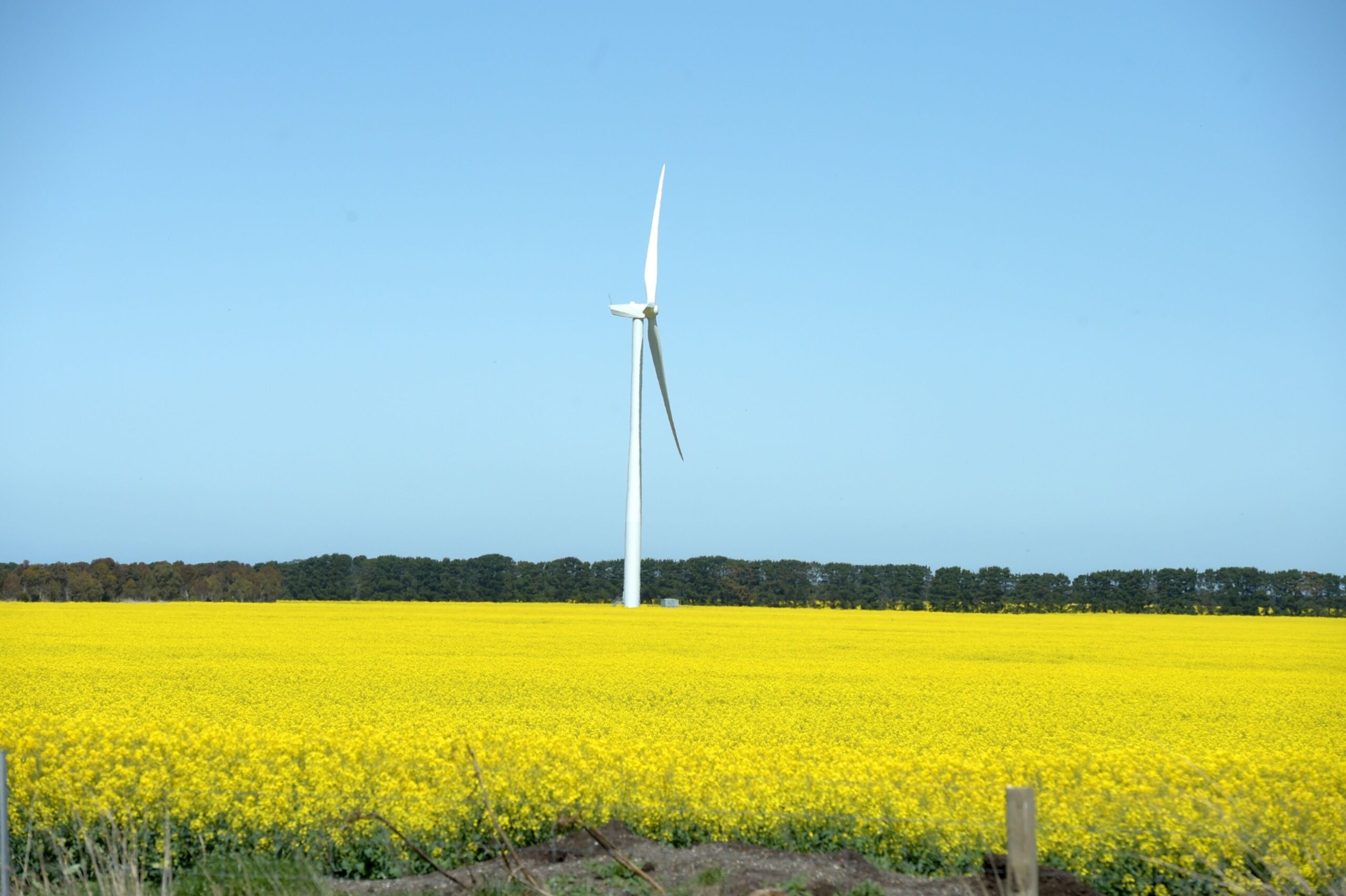 Eine Windturbine in Australien