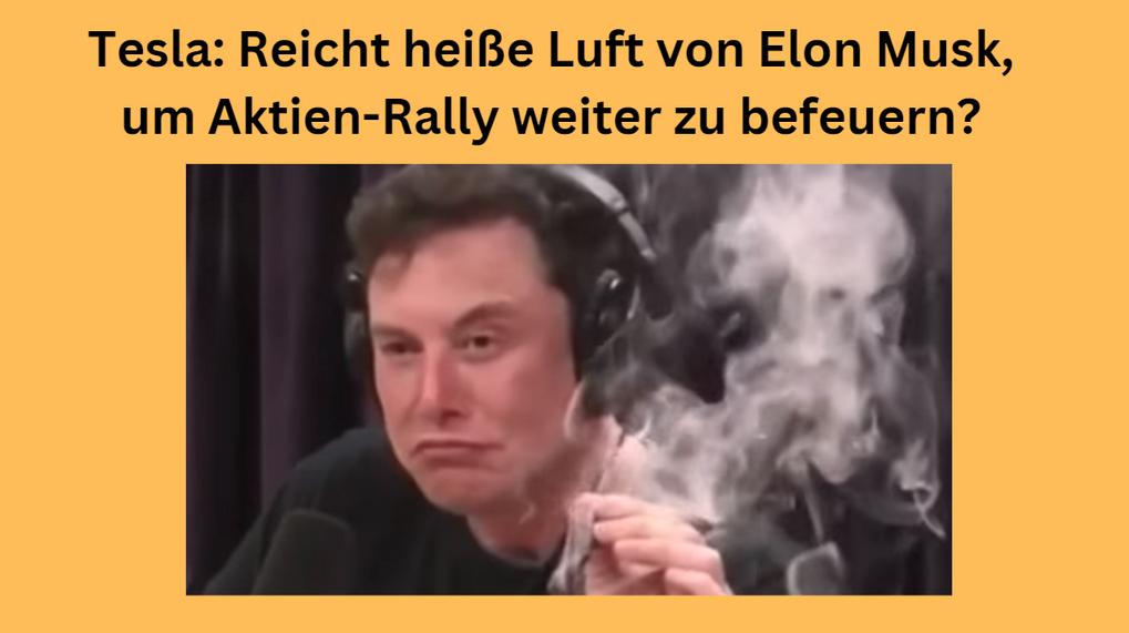 Tesla Elon Musk Aktien