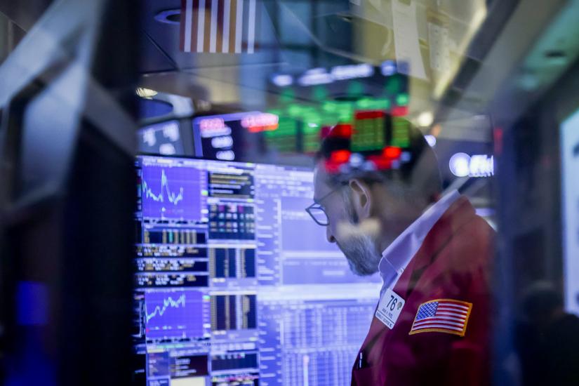 Private-Equity-Kakerlaken-sind-keine-Einzelg-nger