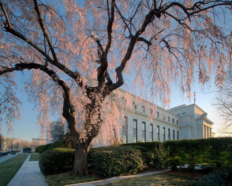 Blühender Kirschbaum vor dem US-Finanzministerium bei Sonnenaufgang.
